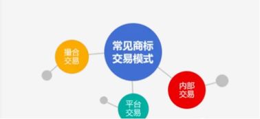 探索知識(shí)產(chǎn)權(quán)證券化，建設(shè)交易中心 推動(dòng)知識(shí)產(chǎn)權(quán)服務(wù)高質(zhì)量發(fā)展