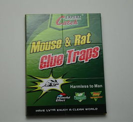 高效環保，廠家直銷——義烏綠亞環保粘鼠膠系列產品