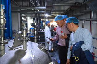 上海蜂花智能工廠投產，4億元投資驅動產業升級與互聯網銷售新布局